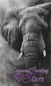Preview: Elefant-by-Kreativkoeter-MrClay