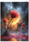 Preview: Midnight-Rose-by-Ray-Spark-70x100cm200_RealPreview