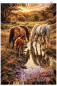 Preview: Mustangs-at-the-Field-by-Daye-80x120cm135_RealPreview