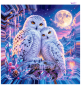 Preview: Snowowl-by-Christafe-KI