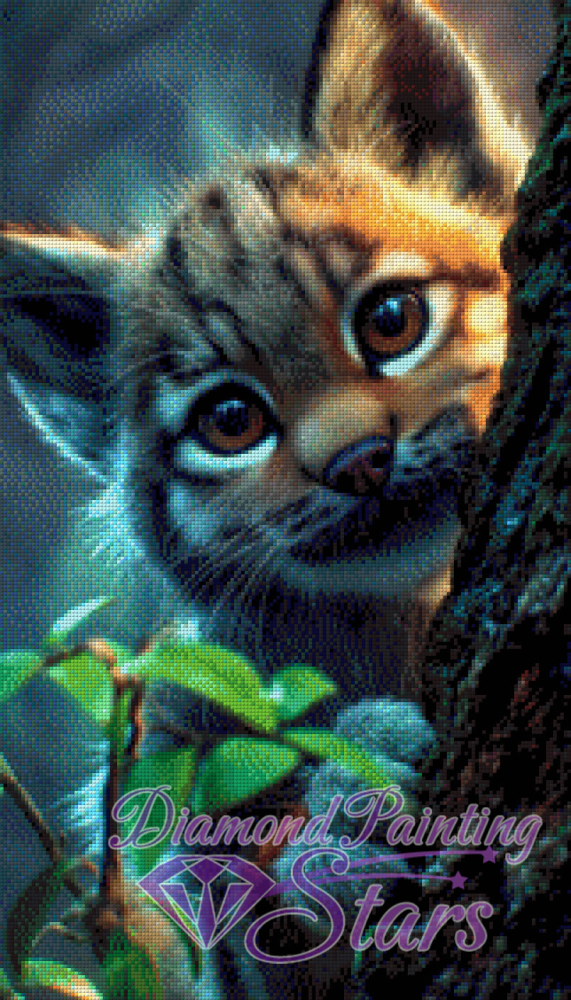 Der-kleine-Entdecker-by-Ray-Spark
