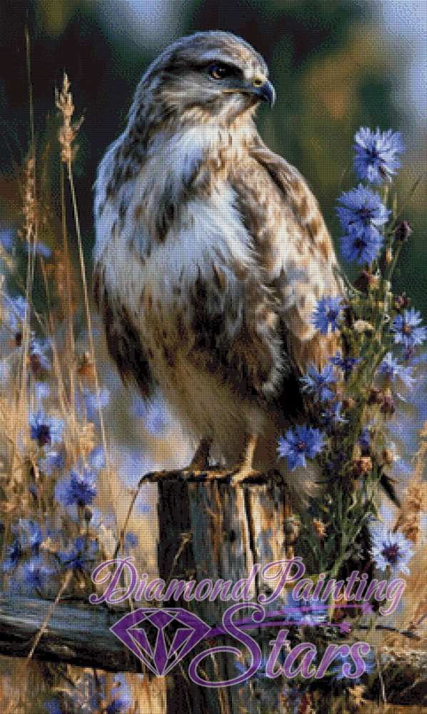 Hawk-by-Ray-Spark-60x100cm155_RealPreview