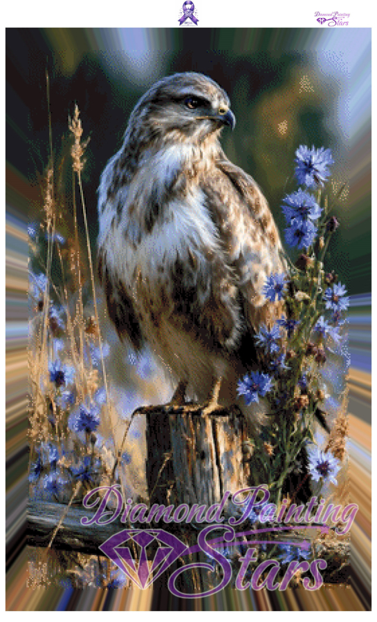 Hawk-by-Ray-Spark-60x100cm155_RealPreview